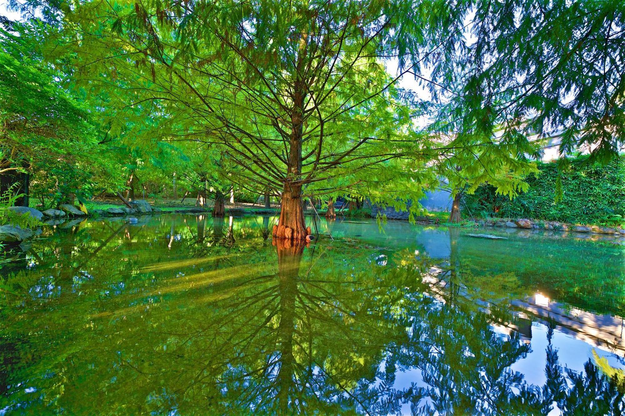 Gaeavilla Resort Ji'an Bagian luar foto